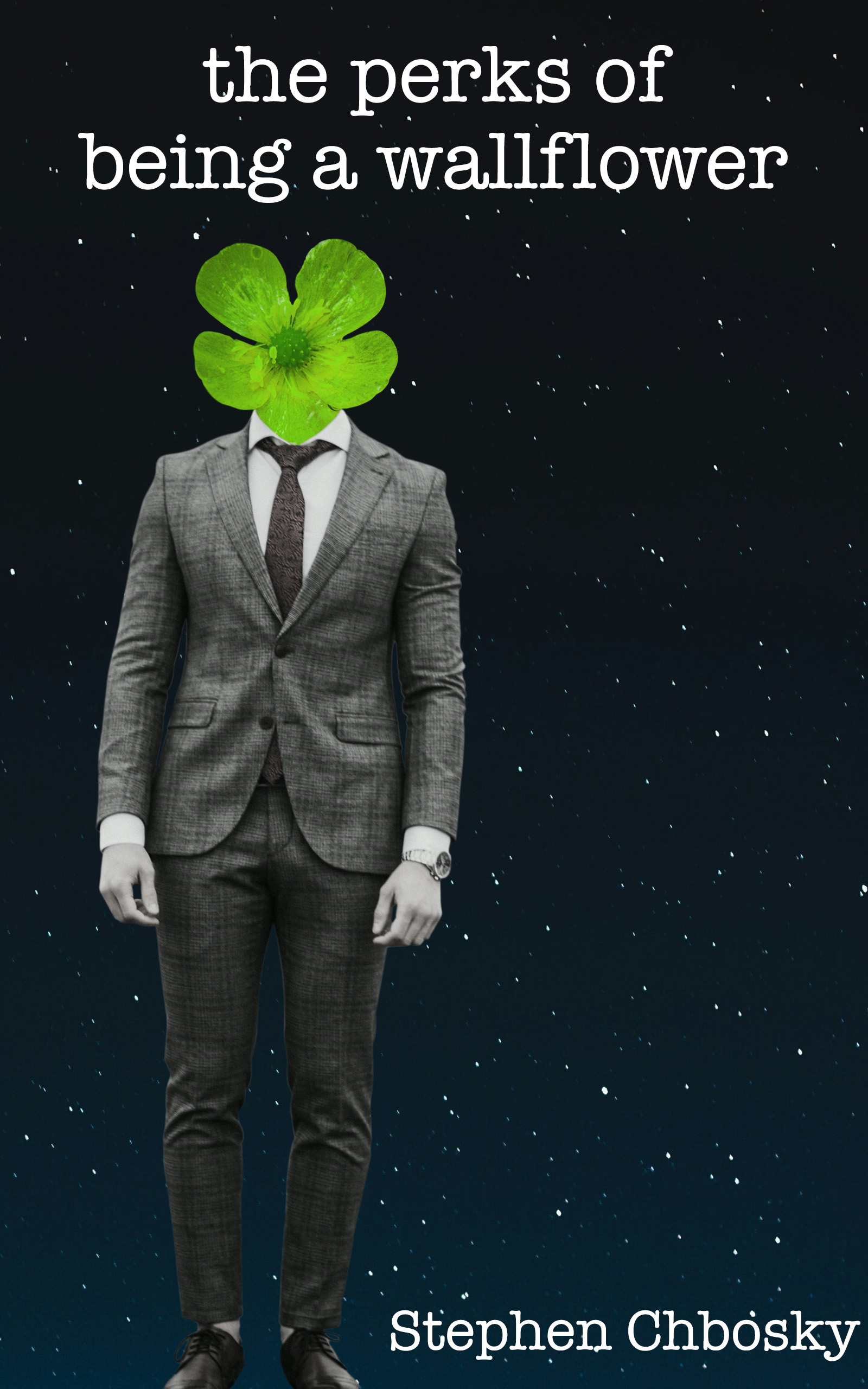 perks of beign a wallflower